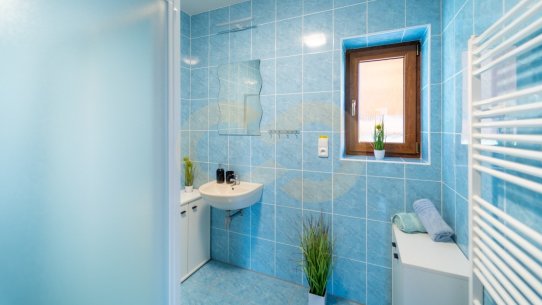 24-Koupelna se sprchou